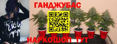 каннабис Сланцы