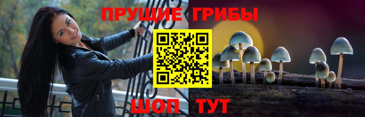Рыбинск  Галлюциногенные грибы Cubensis  Вход с VPN 